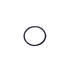 Pentair A&A Style 2 Cleaning Head O-Ring (Round)