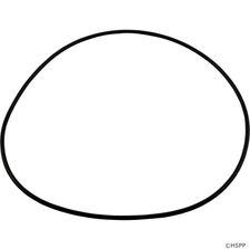 Polaris Halycon Seal Plate O-Ring  # P85