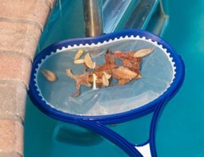 Red Leopard Flexi Skimmer Net # 60102