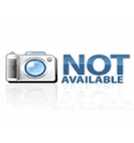 Taylor Bleach Reagent #2 16oz #R-0665-E