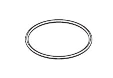 Waterway Hi-Flo Center Discharge 6in Trap Lid O-Ring # 805-0436