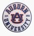Auburn Mascot Retro Burlee
