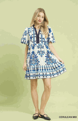 Cerulean Blue Tropical Damask Border Print Mini Dress