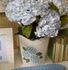 Set of 2 Hydrangea Blue Flower Cachepots 