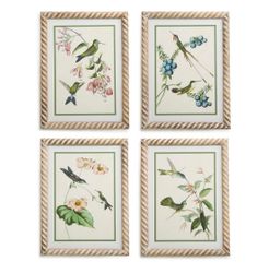 Set of 4 Hummingbird Framed Prints