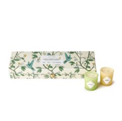 Lemon Verbena and Quince Set of 5 Scented Candles in Gift Box