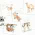 Childrens Scripture Cards