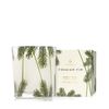 Pine Needle Poured Candle 13 oz.