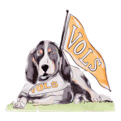 Tennessee Smokey Acrylic Block