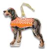 Tennessee Coonhound Acrylic Ornament