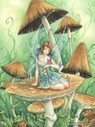 Among the Mushrooms by Meredith Dillman   8"x10" Ceramic Art Tile with recessed hangers for tabletop or wall hanging purposes