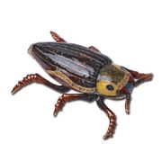 Bug Jewelry Box Enameled pewter box bejeweled with Austrian crystals