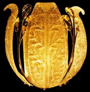 Chandelier 30% Lead Crystal Orchid Collection # DVR2010W1112 Size W-11" x H-12"