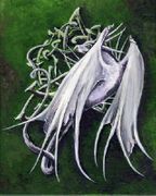 Dragon Knot White by Abranda Sisson   8"x10" Ceramic Art Tile with recessed hangers for tabletop or wall hanging purposes