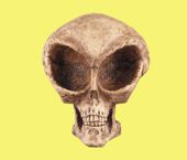 Figurine Alien Skull Enameled pewter box bejeweled with Austrian crystals