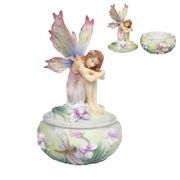 Figurine Dragon Rider Fairy Box
