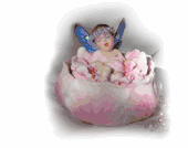 Figurine Flight Dream Trinket Box Hand Painted Resin Designed by Kathleen Francour