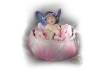 Figurine Flight Dream Trinket Box Hand Painted Resin Designed by Kathleen Francour