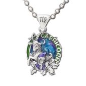 J148 Capricorn Necklace Designed by Jody Bergsma Lead Free Metal