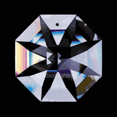 Swarovski Strass Crystal Octagon Lily With Lazer Logo Etched 24mm 1 hole # 8115-24 Box of 300pc