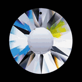 Swarovski Strass Crystal Sun With Lazer Logo Etched 40mm # 8950-0011-40 Box of 100pc Swarovski Strass Crystal Sun With Lazer Logo Etched 40mm # 8950-0011-40 Box of 100pc