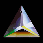 Swarovski Strass Crystal Triangle With Lazer Logo Etched 30mm # 8831-30 Set of 10pc