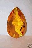 Swarovski Strass Golden Teak Pear Shape With Lazer Logo Etched 50mm # 8721-50 Swarovski Strass Golden Teak Pear Shape With Lazer Logo Etched 50mm # 8721-50
