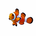 HANNA Saltwater Compatible Parameters/Photometers