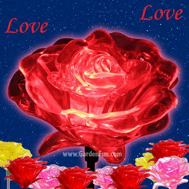 1 Dozen Solar Roses (Red) - Click to enlarge