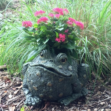 Large Toad Planter - Natural Green - Click to enlarge