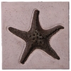 20" Starfish Bronze Finish Wall Plaque