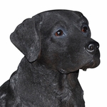 21" Black Lab Statue "Ultra-Realistic"
