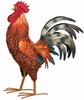21" Cochin Rooster Decor