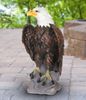 24" Bald Eagle Statuary