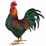 24" Rhode Island Red Rooster