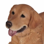 25" Golden Retriever Lying Down "Ultra-Realistic"