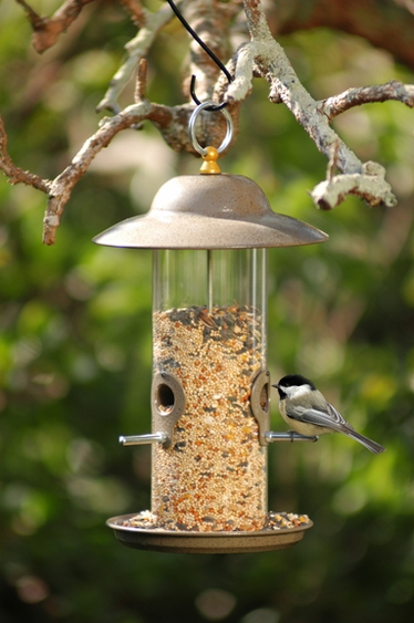 3 Port Metal Canopy Feeder w/Tray - Click to enlarge