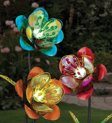 36-solar-orange-flowers-set-of