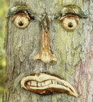 Angry Tree Face
