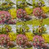 Assorted Metal Bird Rocking Stakes (Set of 6)
