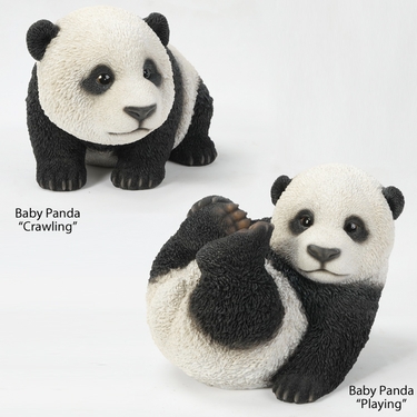 Baby Pandas 