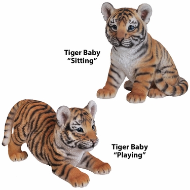 Baby Tiger Cubs 