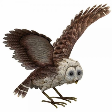 Barn Owl Decor - Wings Up - Click to enlarge