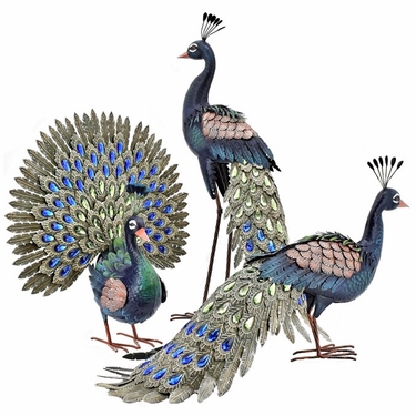 Beautiful Peacock Birds (Set of 3) - Click to enlarge