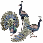 Beautiful Peacock Birds (Set of 3)
