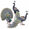 Beautiful Peacock Birds (Set of 3)
