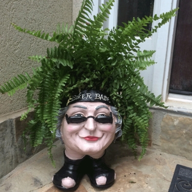 Biker Babe Face Planter - Click to enlarge