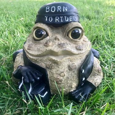 Biker Toad - Natural - Click to enlarge