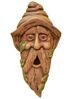 Bird House Tree Face  Long Face Hank
