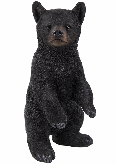 Black Bear Cub - Upright 